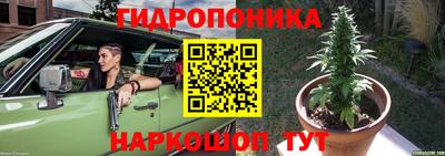 стаф Волжский