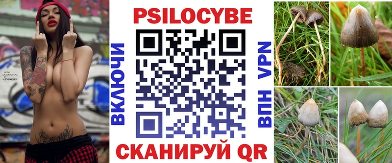 Псилоцибиновые грибы Psilocybine cubensis  Всеволожск 