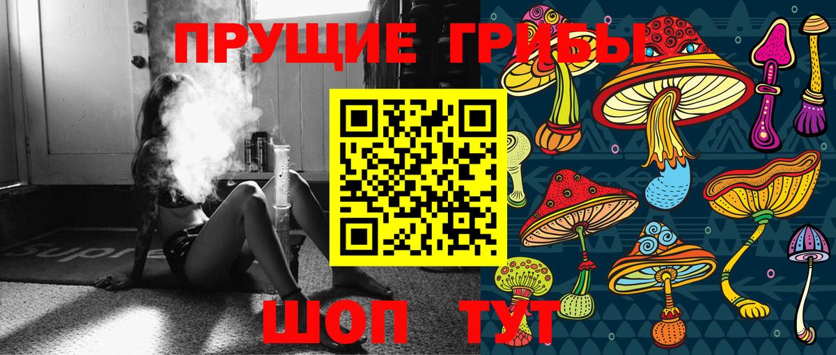 Псилоцибиновые грибы GOLDEN TEACHER  Всеволожск 