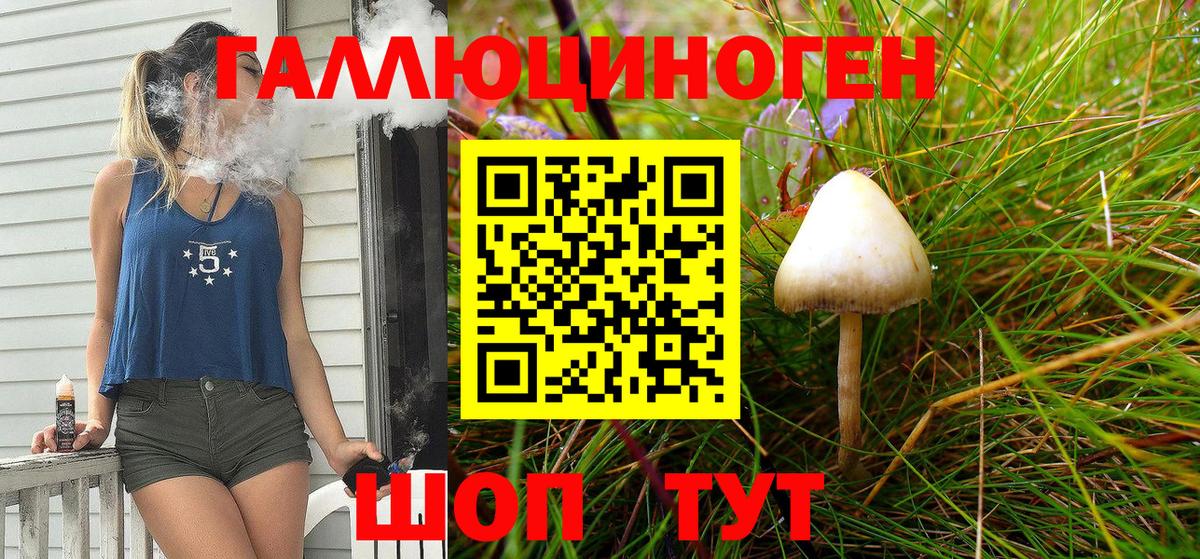 Псилоцибиновые грибы Psilocybe  Псилоцибиновые грибы MAGIC MUSHROOMS  Всеволожск  Вход с VPN 